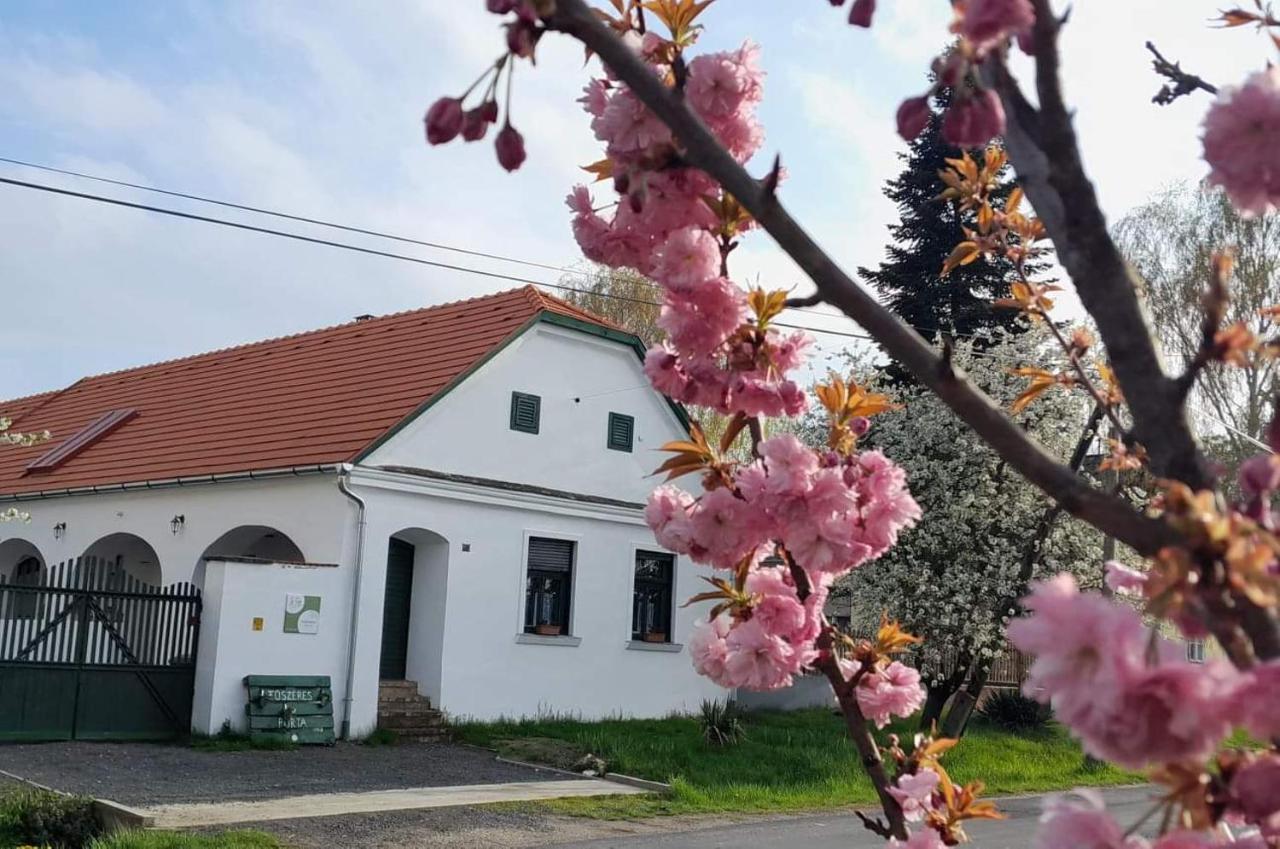 Fuszeres Porta Mihalyfa Exterior foto